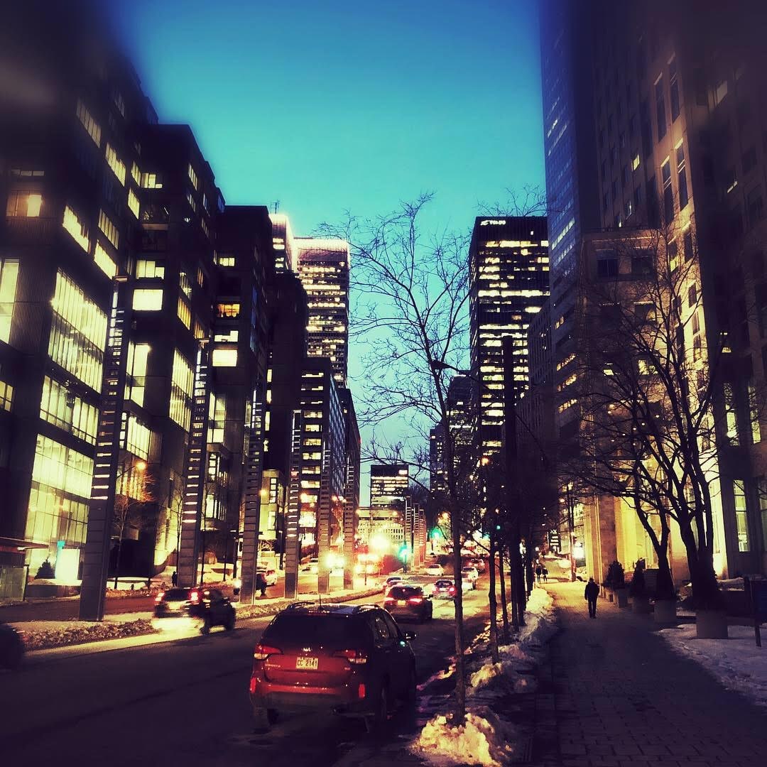 A downtown avenue of lit high-rise towers and bare trees, with car tail lights below